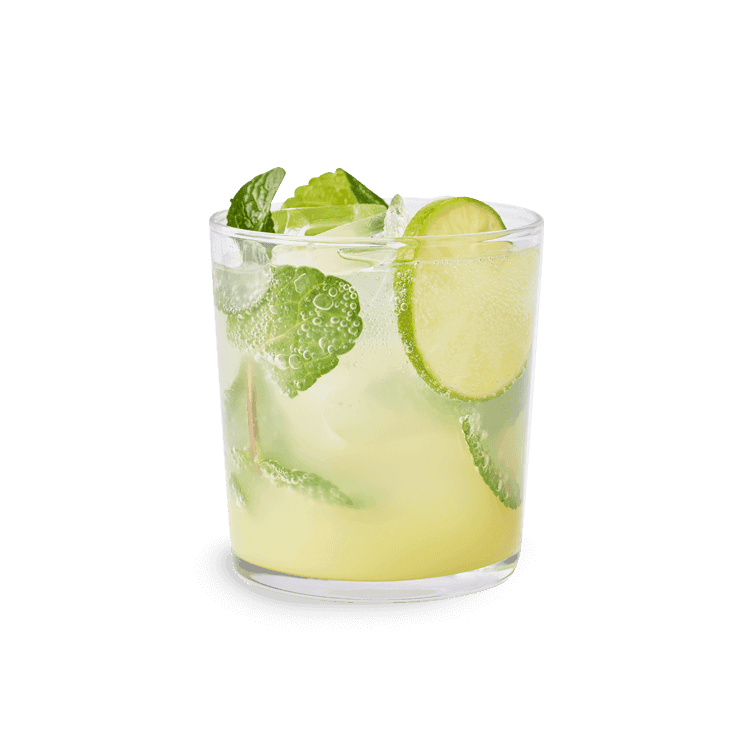 ginger no-jito